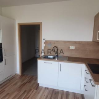 Pronájem bytu 1+kk a garsoniéry 30 m² Plzeň Jižní Předměstí, Nemocniční