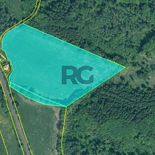 Prodej zemědělské půdy 25242 m² Vráž