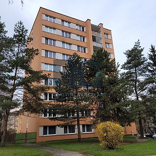 Prodej bytu 2+kk 40 m² Písek Budějovické Předměstí, Dr. M. Horákové