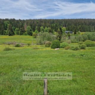 Prodej komerčního pozemku 33 610 m² Železná Ruda Pancíř