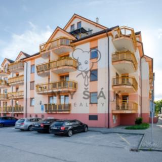 Pronájem bytu 1+kk a garsoniéry 31 m² České Budějovice 3, U Trojice