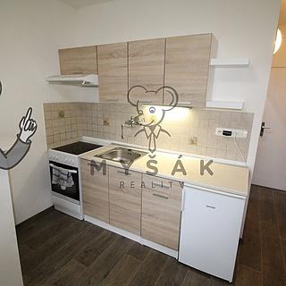Pronájem bytu 1+kk a garsoniéry 21 m² České Budějovice 3, Plzeňská