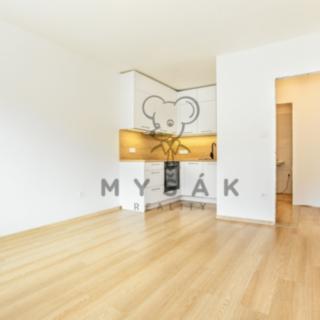 Pronájem bytu 1+kk a garsoniéry 27 m² České Budějovice 6, Palmová