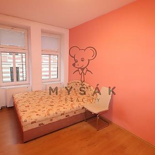 Pronájem bytu 3+1 58 m² České Budějovice 3, Fráni Šrámka