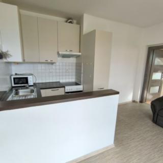 Pronájem bytu 4+kk 56 m² České Budějovice 2, Dubenská
