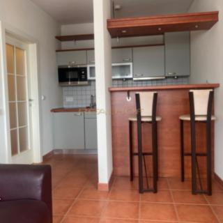 Pronájem bytu 1+kk, garsoniery 26 m² Brno