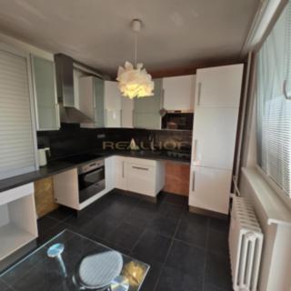 Pronájem bytu 2+1 55 m² Brno Žabovřesky, Záhřebská