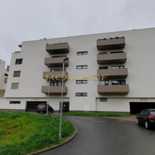 Pronájem bytu 1+kk a garsoniéry 38 m² Brno Jehnice, Kleštínek