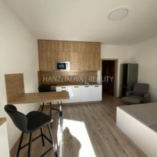 Pronájem bytu 1+kk a garsoniéry 28 m² České Budějovice 2, Volejbalistů