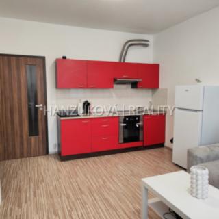 Pronájem bytu 2+kk 46 m² České Budějovice