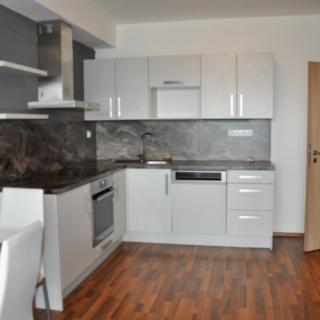 Pronájem bytu 1+kk a garsoniéry 36 m² České Budějovice 2, Husova tř.