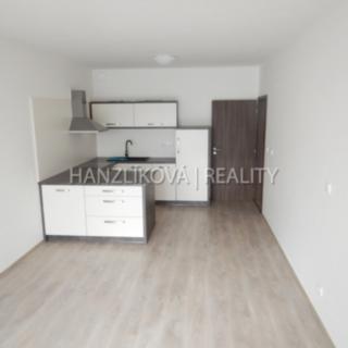 Pronájem bytu 2+kk 55 m² České Budějovice