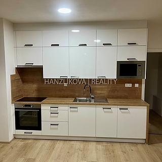 Pronájem bytu 1+kk a garsoniéry 32 m² České Budějovice 5, Dobrovodská