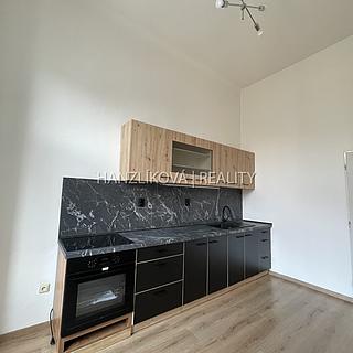 Pronájem bytu 1+1 49 m&sup2; České Budějovice