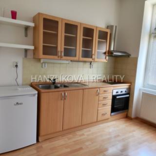 Pronájem bytu 2+1 60 m² České Budějovice 3, Riegrova