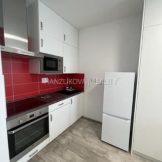 Pronájem bytu 1+kk, garsoniery 30 m² České Budějovice