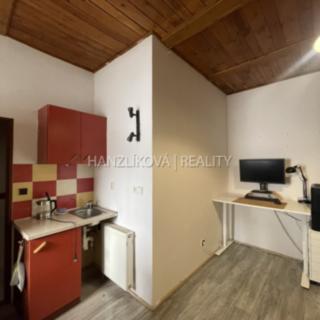 Pronájem bytu 1+kk a garsoniéry 18 m² České Budějovice 1, Krajinská