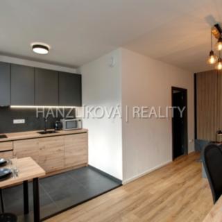Pronájem bytu 1+kk, garsoniery 36 m² České Budějovice