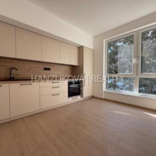 Pronájem bytu 2+kk 36 m² České Budějovice 3, Hálkova