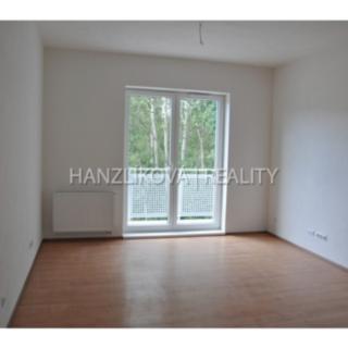 Pronájem bytu 1+kk a garsoniéry 26 m² České Budějovice 2, U Lesa