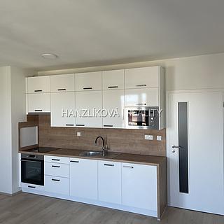 Pronájem bytu 1+kk a garsoniéry 32 m² České Budějovice 5, Dobrovodská
