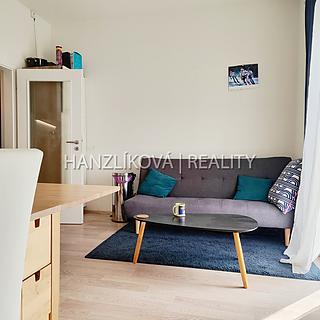 Pronájem bytu 2+kk 38 m² České Budějovice 2, U Boru