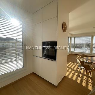 Pronájem bytu 3+kk 85 m² České Budějovice 3, Hálkova