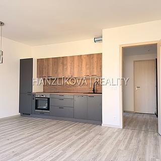 Pronájem bytu 2+kk 49 m² České Budějovice 3, Hálkova