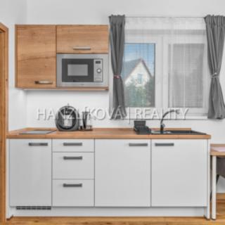 Prodej bytu 1+kk a garsoniéry 20 m² Černá v Pošumaví