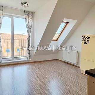 Pronájem bytu 2+kk 46 m² České Budějovice 3, B. Smetany