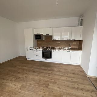 Pronájem bytu 3+kk 54 m² České Budějovice 3, Hálkova