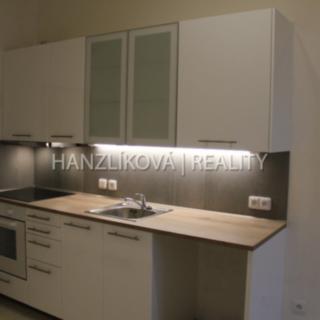 Pronájem bytu 2+kk 33 m² České Budějovice 3, Fráni Šrámka