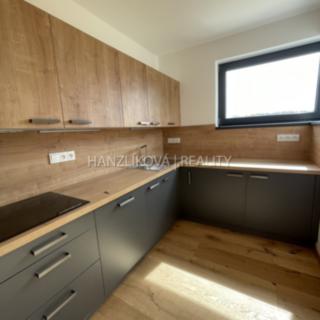 Pronájem rodinného domu 147 m² Srubec