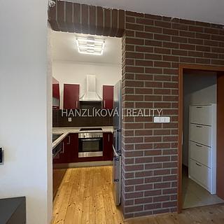 Pronájem bytu 2+1 46 m² České Budějovice 5, Dělnická