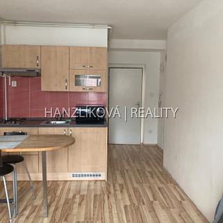 Pronájem bytu 1+kk a garsoniéry 21 m² České Budějovice 3, Lipenská