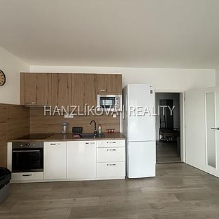 Pronájem bytu 1+kk a garsoniéry 51 m² České Budějovice 2, O. Nedbala