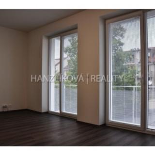 Pronájem bytu 1+kk a garsoniéry 33 m² České Budějovice 3, Nová