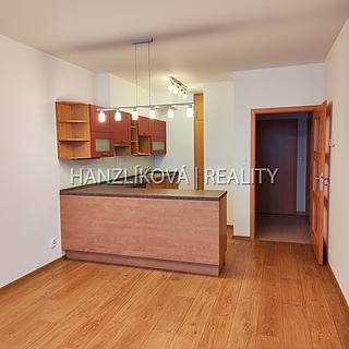 Pronájem bytu 2+kk 54 m² České Budějovice