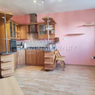 Pronájem bytu 2+kk 35 m² České Budějovice