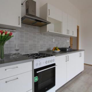 Pronájem bytu 2+kk 52 m² Brno, Veslařská