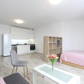 Pronájem bytu 1+kk, garsoniery 41 m² Brno
