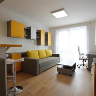 Pronájem bytu 1+kk, garsoniery 30 m² Brno