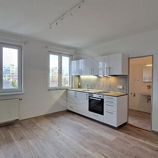 Pronájem bytu 1+1 48 m² České Budějovice