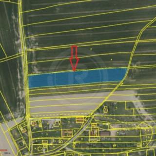 Prodej louky 10 999 m² Borovany Hluboká u Borovan