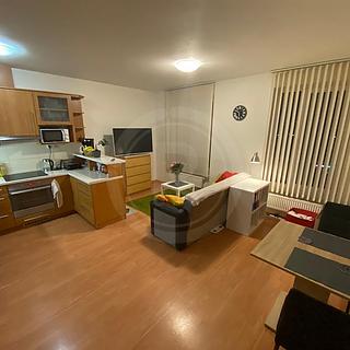 Pronájem bytu 2+kk 53 m² České Budějovice