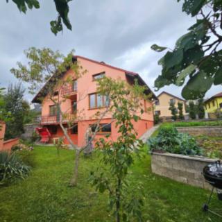 Prodej rodinného domu 300 m² Hosín