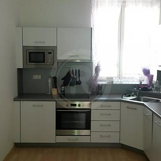 Pronájem bytu 1+1 52 m² České Budějovice 3, Nová