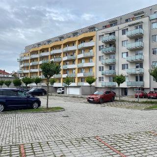 Pronájem ostatní nemovitosti 12 m² České Budějovice 3
