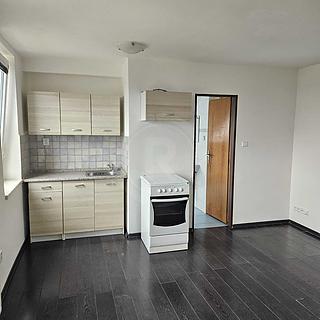 Pronájem bytu 1+kk a garsoniéry 29 m² Dobrá Voda u Českých Budějovic, U Rybníka