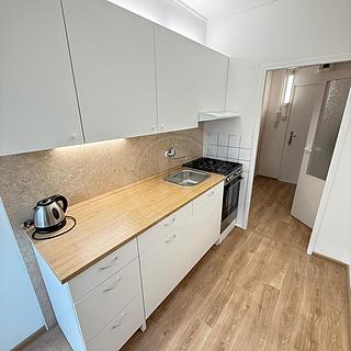Pronájem bytu 2+1 52 m² České Budějovice 3, Budivojova
